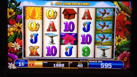 hummingbird slots game